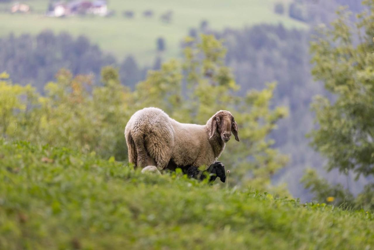 Oberplunerhof - Fewo Kronplatz เคียเนส ภายนอก รูปภาพ